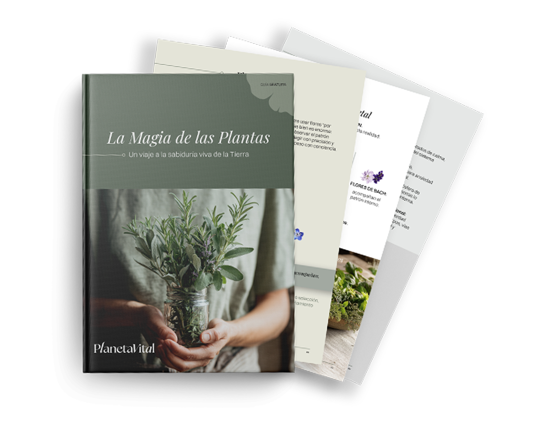 Guía: La Magia de las Plantas