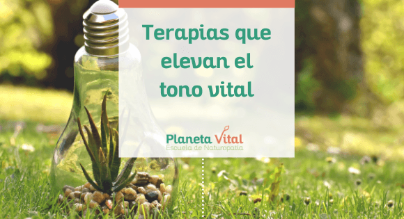 terapias que elevan el tono vital