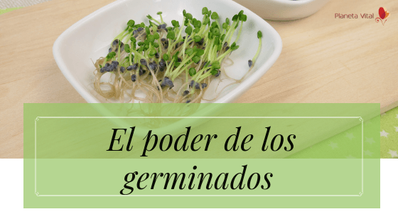 El poder de los germinados