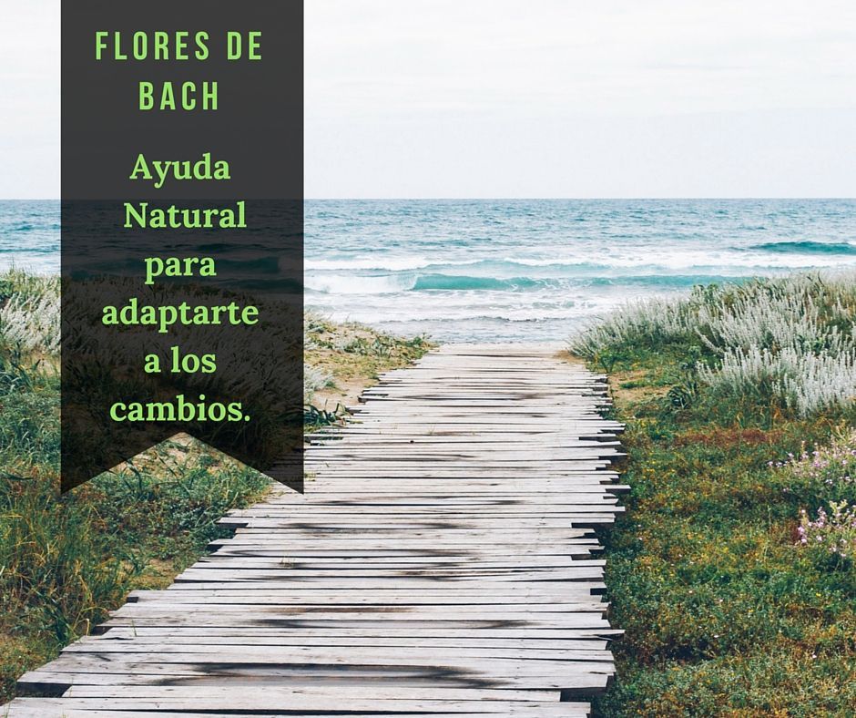 Flores de Bach - Nogal