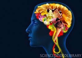 alimentar el cerebro