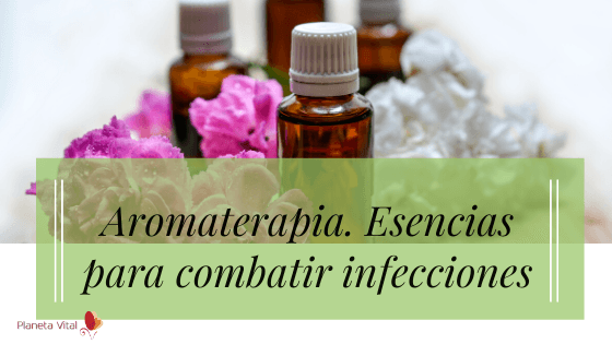 aromaterapia. esencias para combatir infecciones