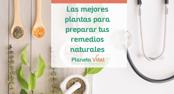 Las mejores plantas para preparar tus remedios naturales
