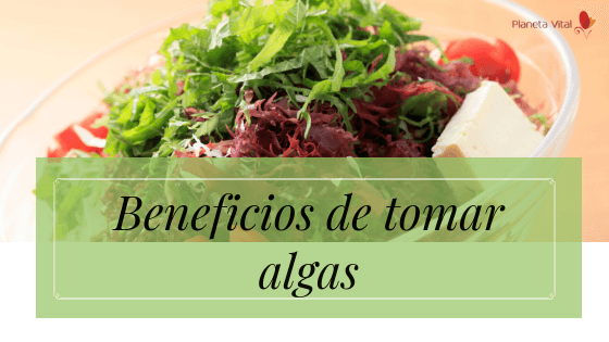 Beneficios de las algas