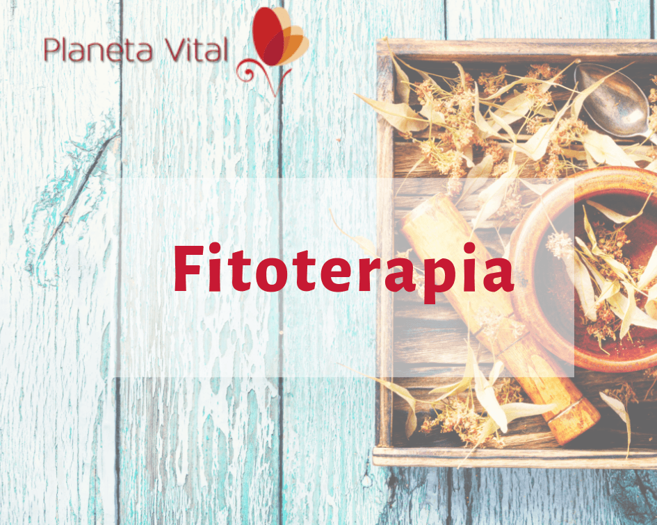 Curso de Fitoterapia
