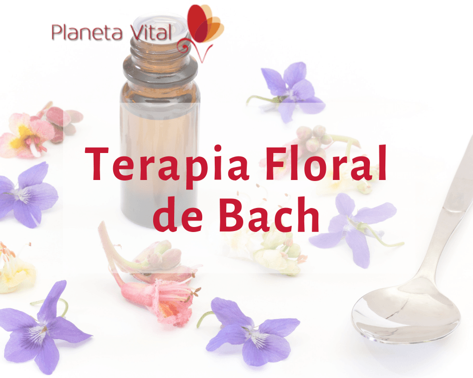 Curso Flores de Bach