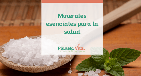 minerales esenciales para la salud