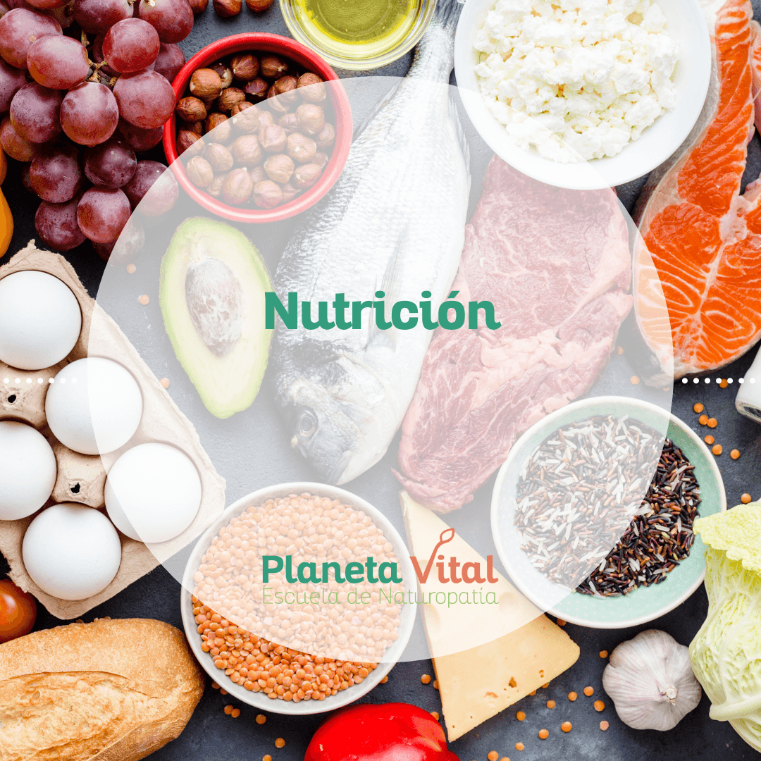 curso de nutrición