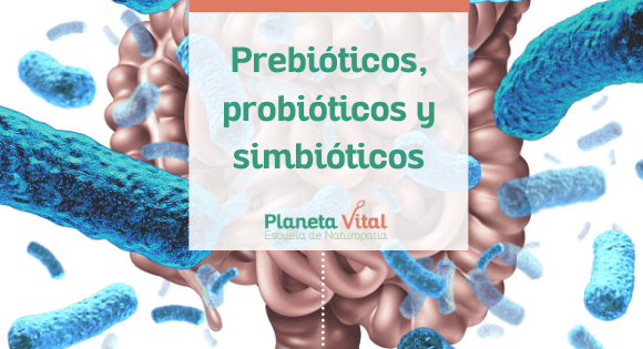 Prebióticos, probióticos y simbióticos