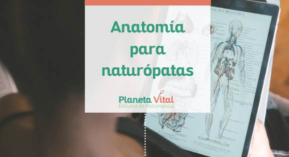 medicina naturista