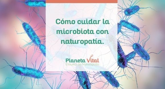 Cómo cuidar la microbiota