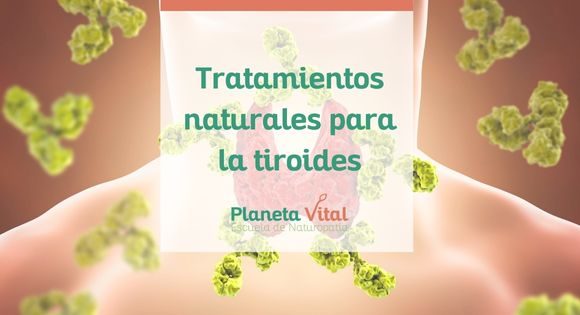 Tratamientos naturales para la tiroides