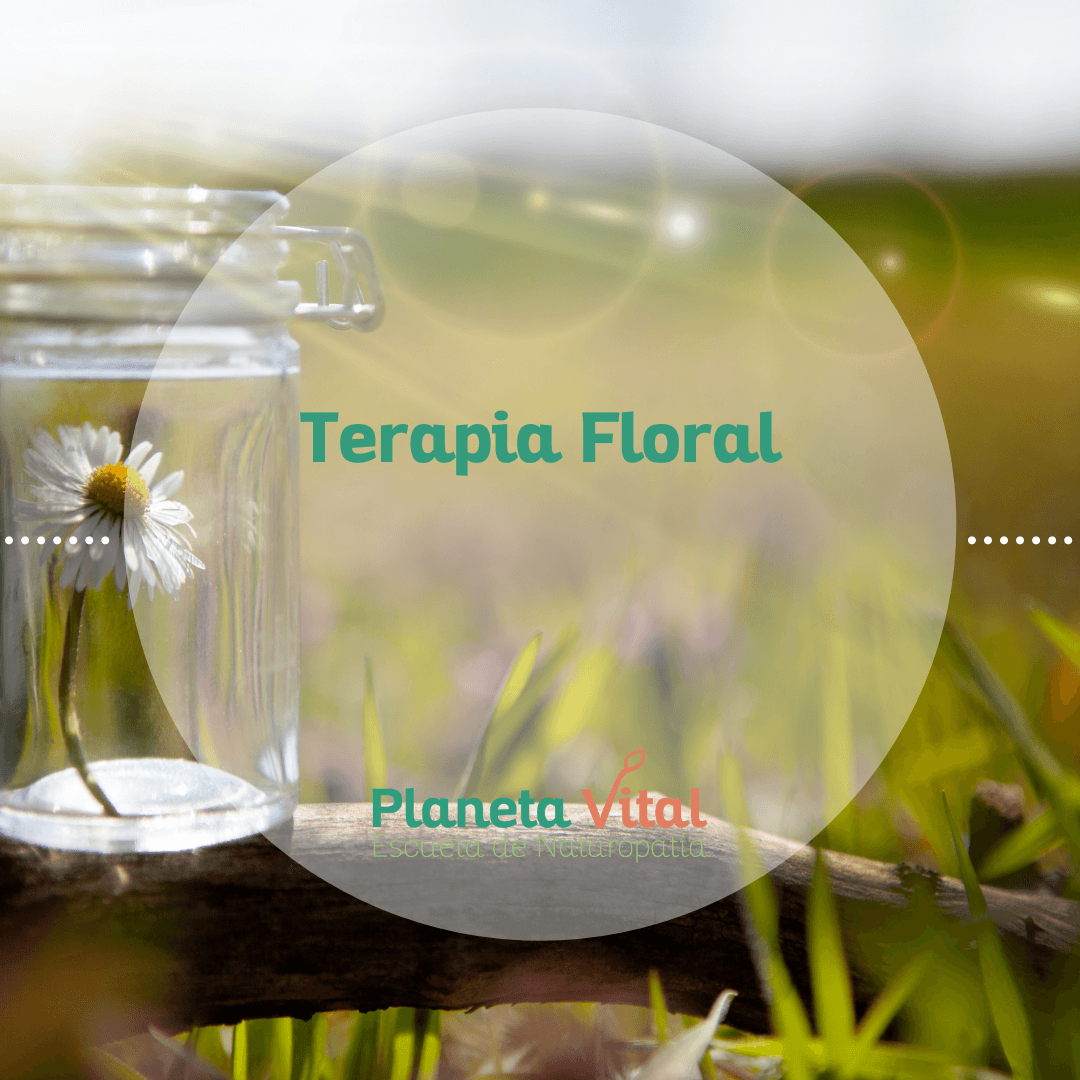 curso-terapia-floral