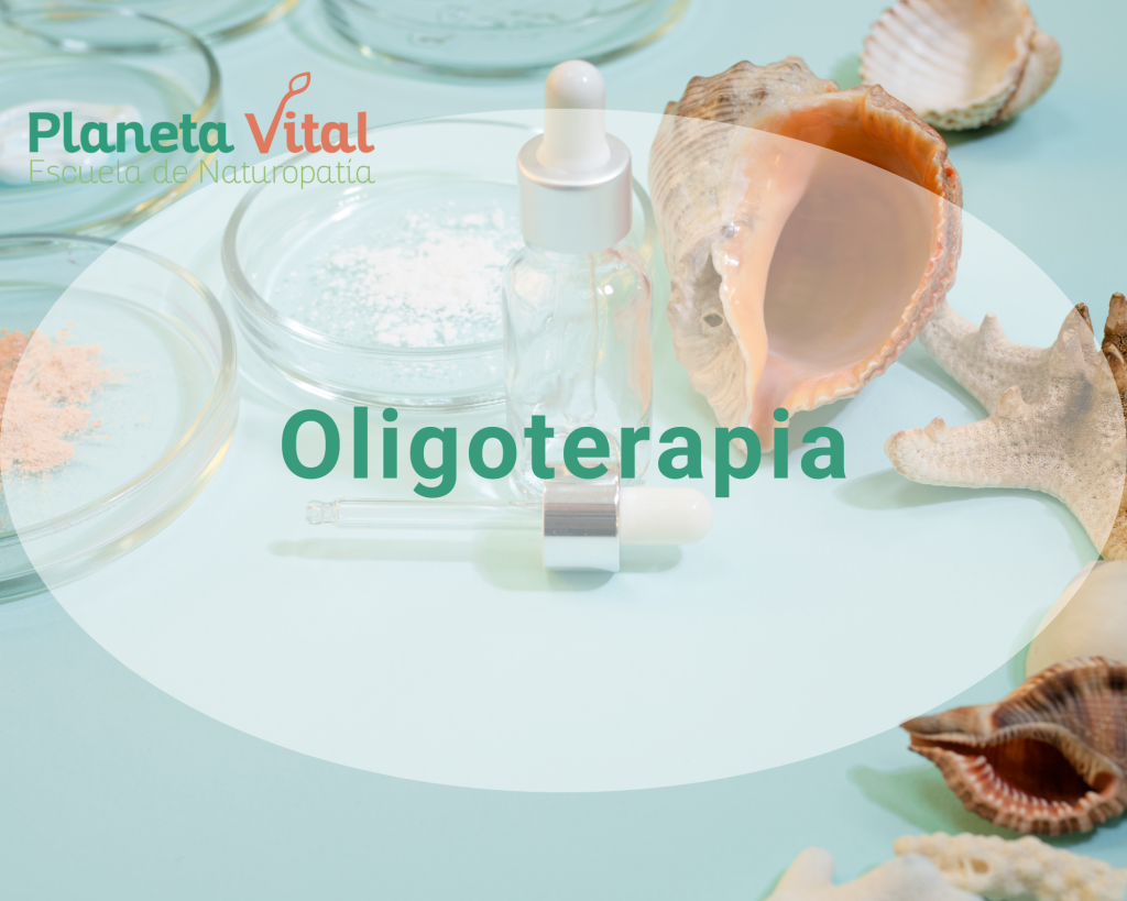 Curso Flores de Bach Profesional Vital