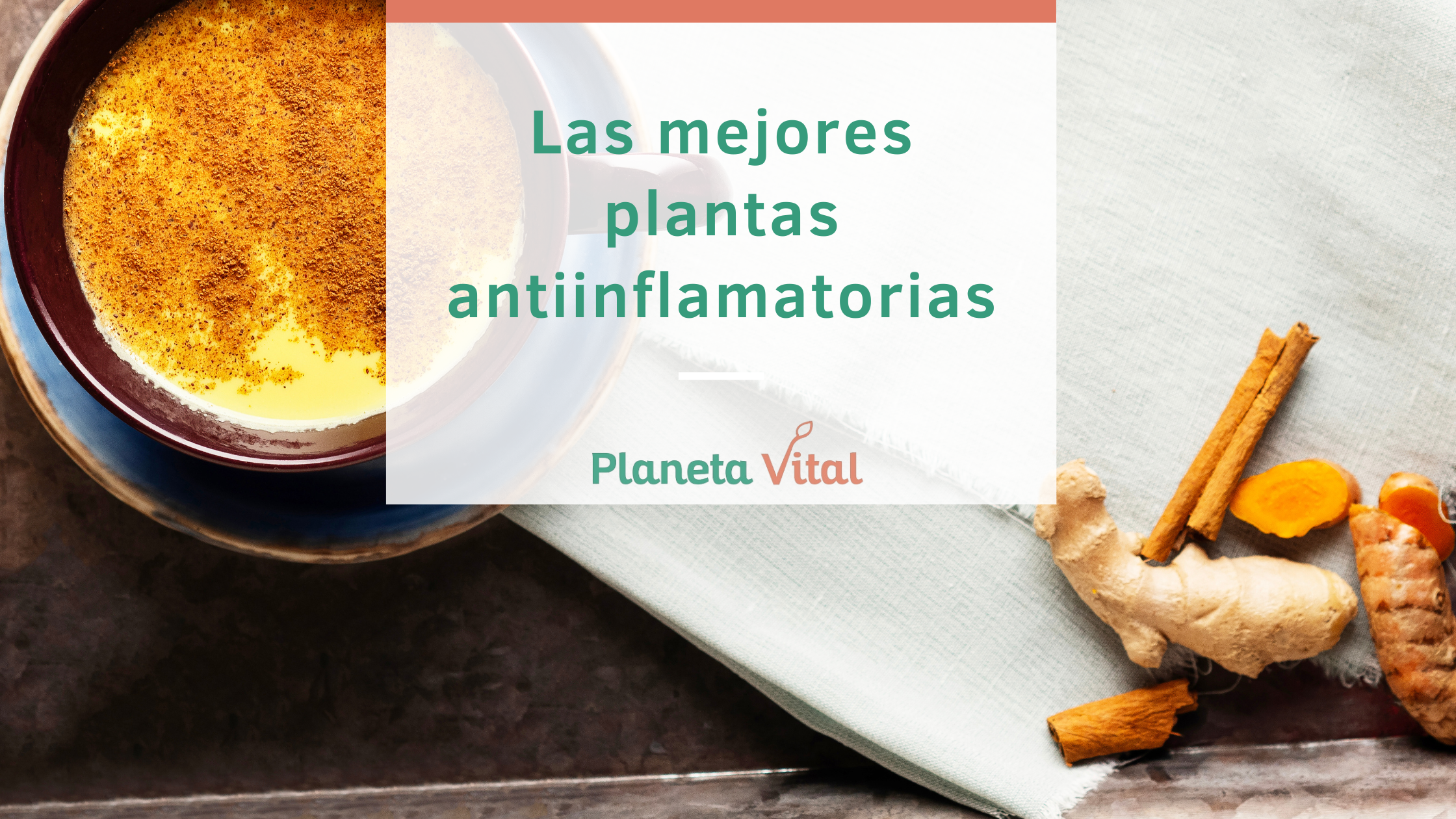 plantas con poder antiinflamaorio