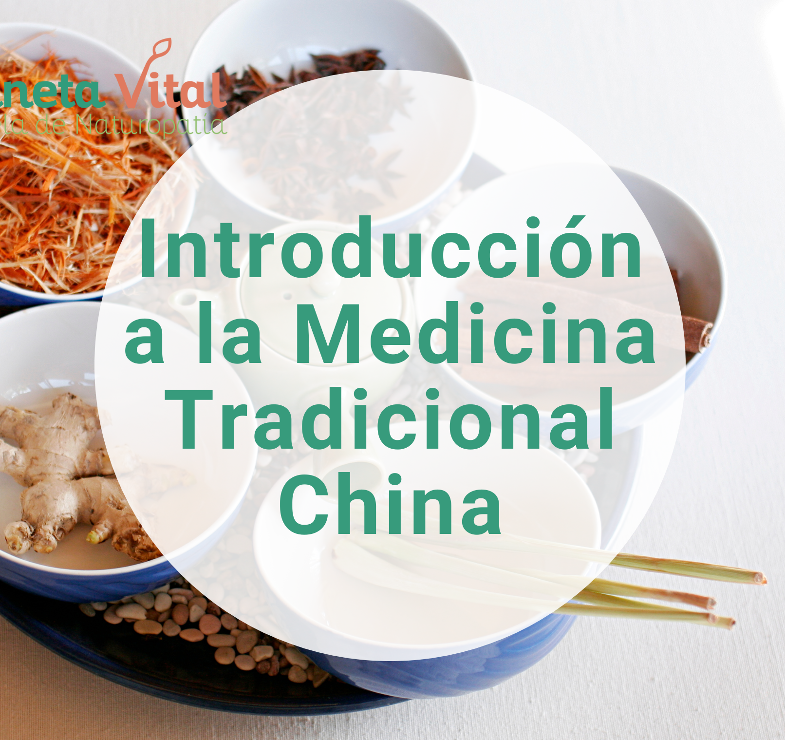 Curso MTC curso on line introducción a la medicina tradicional china