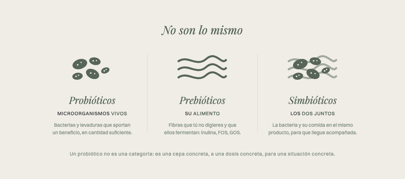 Diferencia entre probióticos, prebióticos y simbióticos: microorganismos vivos, las fibras que los alimentan y los dos juntos en un mismo producto